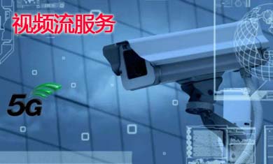 �����ԇ�o��(d��o)������Ӣ