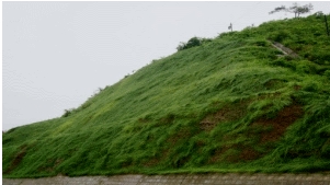 二級建造師公路實務移動精講班--防護與支擋工程類型