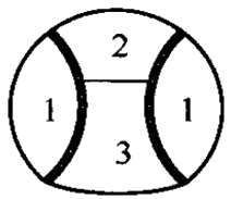 二級(jí)建造師考試市政實(shí)務(wù)知識(shí)點(diǎn):噴錨暗挖法的掘進(jìn)方式選擇