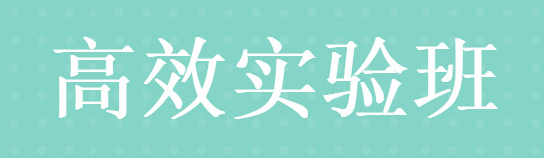 高效實(shí)驗(yàn)班 高效實(shí)驗(yàn)班